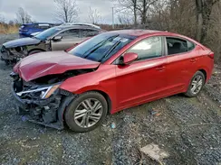 5NPD84LF1LH531586 2020 HYUNDAI ELANTRA