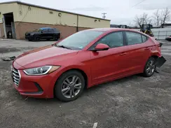 5NPD84LF4HH116446 2017 HYUNDAI ELANTRA