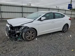 5NPD84LF4HH145137 2017 HYUNDAI ELANTRA