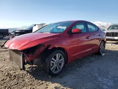 5NPD84LF6HH002495 2017 HYUNDAI ELANTRA