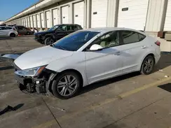 5NPD84LF6KH484831 2019 HYUNDAI ELANTRA
