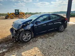 5NPD84LF8HH056834 2017 HYUNDAI ELANTRA