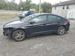 5NPD84LFXHH119495 2017 HYUNDAI ELANTRA