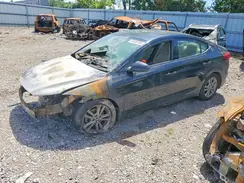 5NPD84LFXHH146843 2017 HYUNDAI ELANTRA