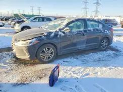 5NPD84LFXHH156790 2017 HYUNDAI ELANTRA