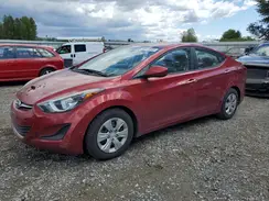 5NPDH4AE2GH665264 2016 HYUNDAI ELANTRA