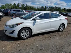 5NPDH4AE2GH756454 2016 HYUNDAI ELANTRA