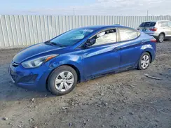 5NPDH4AE7GH685770 2016 HYUNDAI ELANTRA