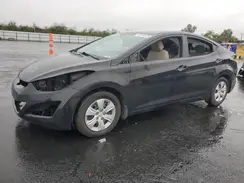 5NPDH4AE7GH773671 2016 HYUNDAI ELANTRA