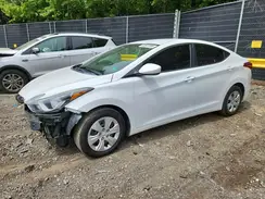 5NPDH4AE8GH738556 2016 HYUNDAI ELANTRA
