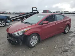 5NPDH4AE9GH667805 2016 HYUNDAI ELANTRA