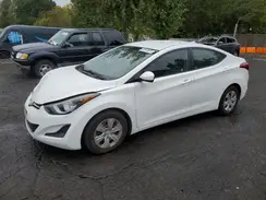 5NPDH4AE9GH674172 2016 HYUNDAI ELANTRA