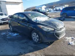 5NPDH4AE9GH684667 2016 HYUNDAI ELANTRA