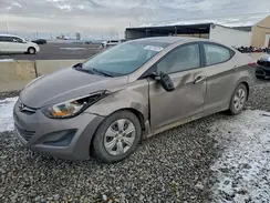 5NPDH4AEXGH683544 2016 HYUNDAI ELANTRA