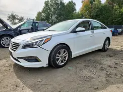 5NPE24AA0GH342141 2016 HYUNDAI SONATA