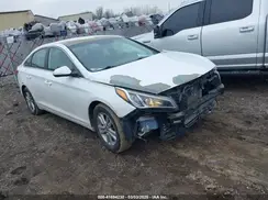 5NPE24AA0GH432423 2016 HYUNDAI SONATA