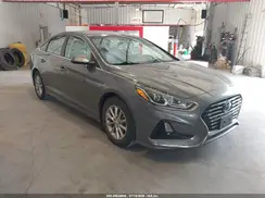 5NPE24AA0KH773880 2019 HYUNDAI SONATA