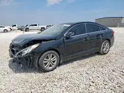 5NPE24AA2GH426493 2016 HYUNDAI SONATA