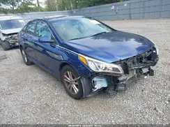 5NPE24AA2HH447894 2017 HYUNDAI SONATA