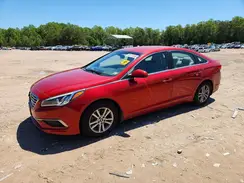 5NPE24AA3HH445247 2017 HYUNDAI SONATA