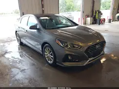 5NPE24AA3KH773954 2019 HYUNDAI SONATA