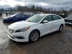 5NPE24AA4HH441188 2017 HYUNDAI SONATA