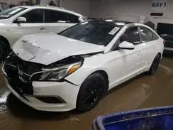 5NPE24AA4HH444639 2017 HYUNDAI SONATA