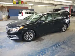 5NPE24AA4HH453521 2017 HYUNDAI SONATA