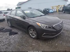 5NPE24AA4HH455866 2017 HYUNDAI SONATA