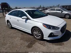 5NPE24AA4KH774563 2019 HYUNDAI SONATA