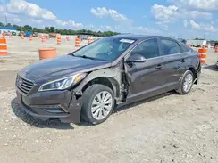 5NPE24AA5GH433311 2016 HYUNDAI SONATA