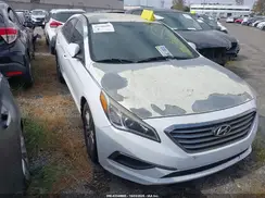 5NPE24AA6HH445565 2017 HYUNDAI SONATA