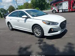 5NPE24AA6KH774144 2019 HYUNDAI SONATA