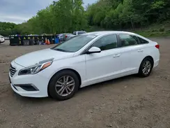 5NPE24AA7HH456526 2017 HYUNDAI SONATA