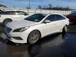 5NPE24AA9HH468404 2017 HYUNDAI SONATA