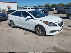 5NPE24AA9HH494887 2017 HYUNDAI SONATA