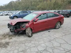 5NPE24AF0GH271650 2016 HYUNDAI SONATA
