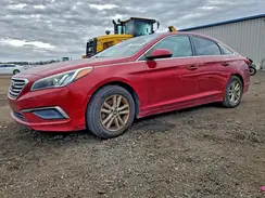 5NPE24AF0GH275388 2016 HYUNDAI SONATA