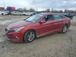 5NPE24AF0GH277447 2016 HYUNDAI SONATA