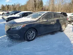 5NPE24AF0GH292823 2016 HYUNDAI SONATA