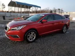 5NPE24AF0GH295317 2016 HYUNDAI SONATA