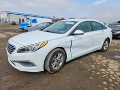 5NPE24AF0GH310253 2016 HYUNDAI SONATA
