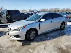 5NPE24AF0GH323844 2016 HYUNDAI SONATA
