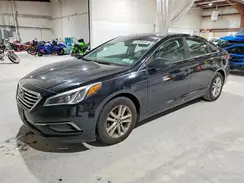 5NPE24AF0GH334780 2016 HYUNDAI SONATA