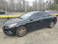 5NPE24AF0GH337176 2016 HYUNDAI SONATA