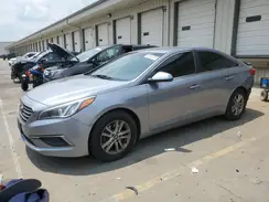 5NPE24AF0GH343883 2016 HYUNDAI SONATA