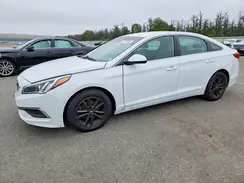 5NPE24AF0GH344077 2016 HYUNDAI SONATA