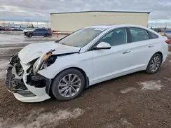 5NPE24AF0GH346928 2016 HYUNDAI SONATA
