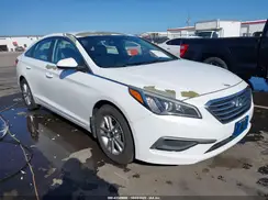 5NPE24AF0GH356603 2016 HYUNDAI SONATA