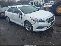 5NPE24AF0GH358884 2016 HYUNDAI SONATA